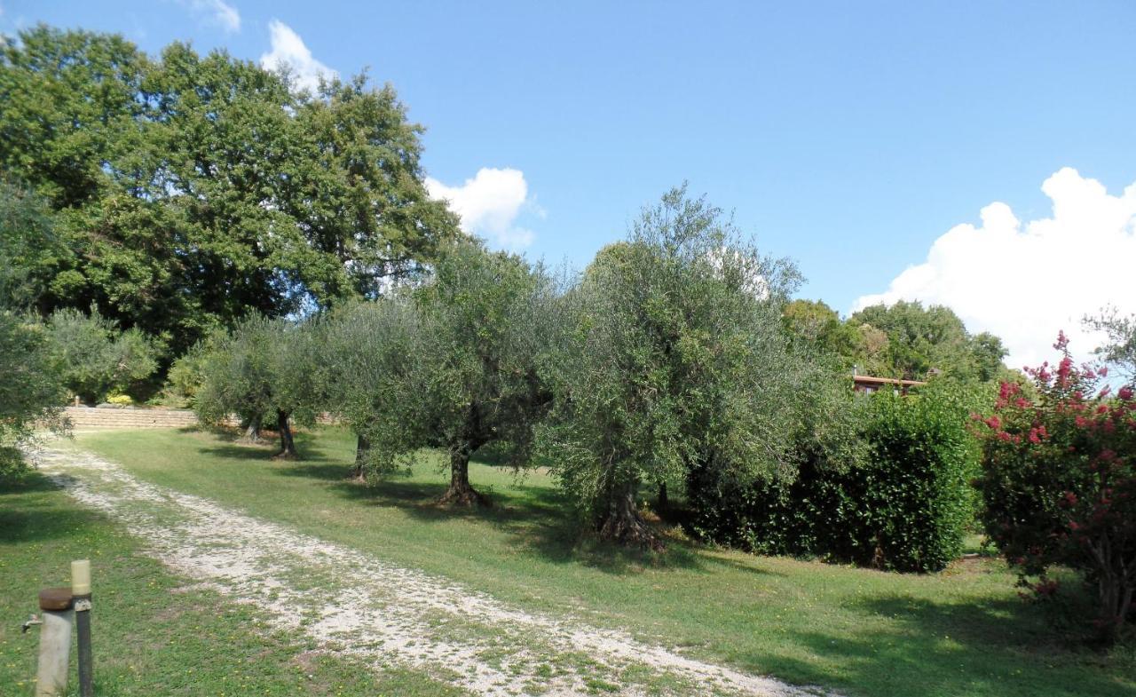 Poggiolindo B&B Capodimonte Zewnętrze zdjęcie
