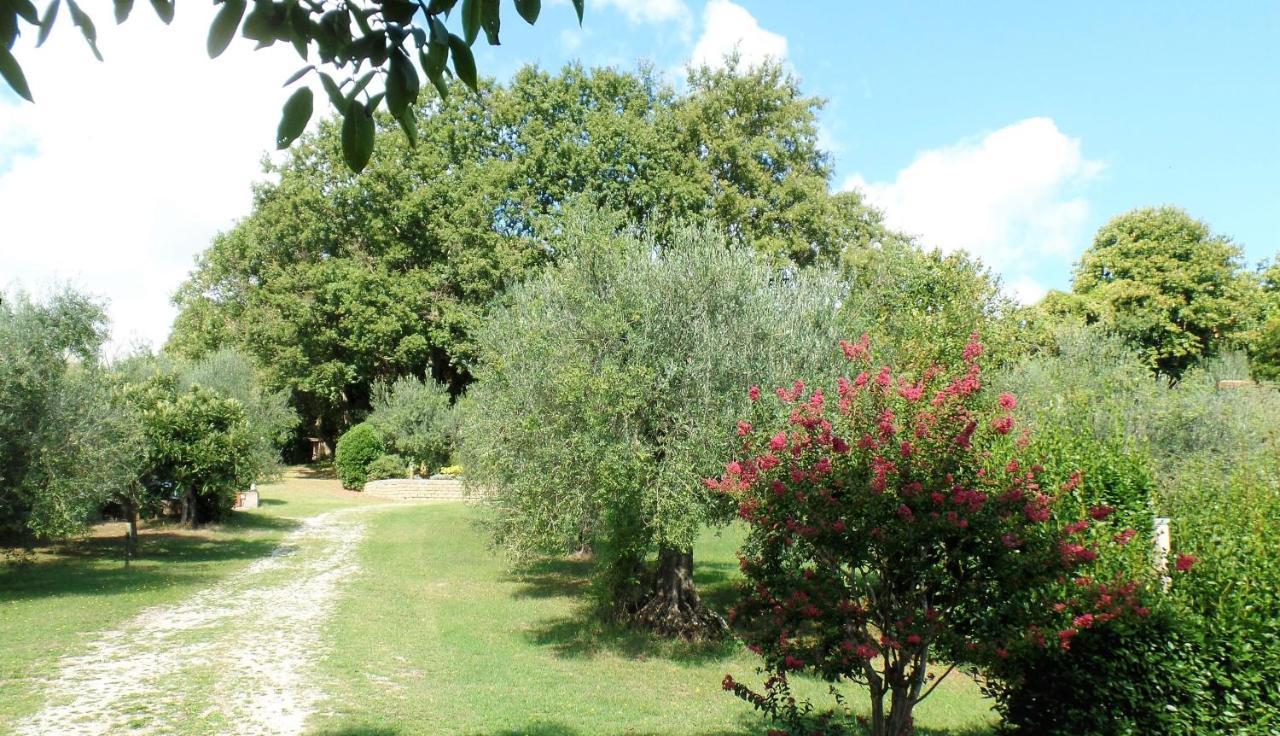 Poggiolindo B&B Capodimonte Zewnętrze zdjęcie